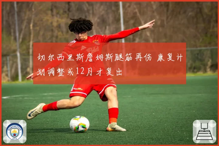 切尔西里斯詹姆斯腿筋再伤 康复计划调整或12月才复出