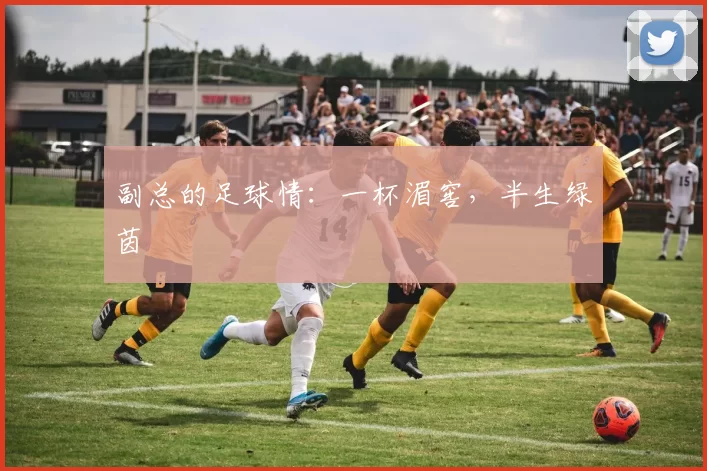 副总的足球情：一杯湄窖，半生绿茵